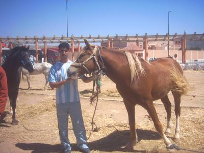 mon ami  3otman